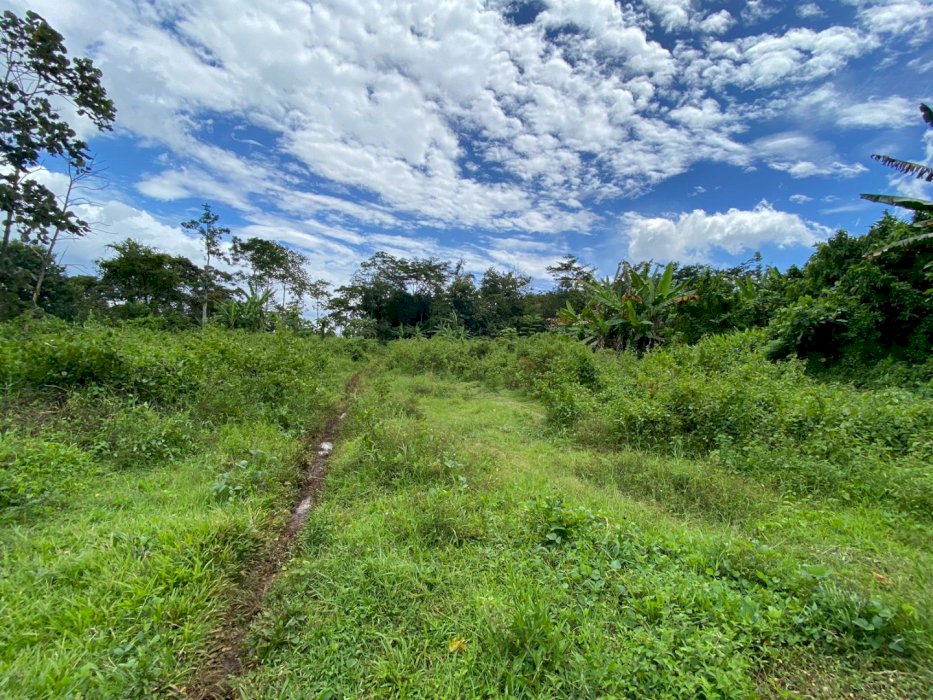 TANAH DIJUAL LAWANG MALANG NOL JALAN ASPAL  LAWANG, MALANG