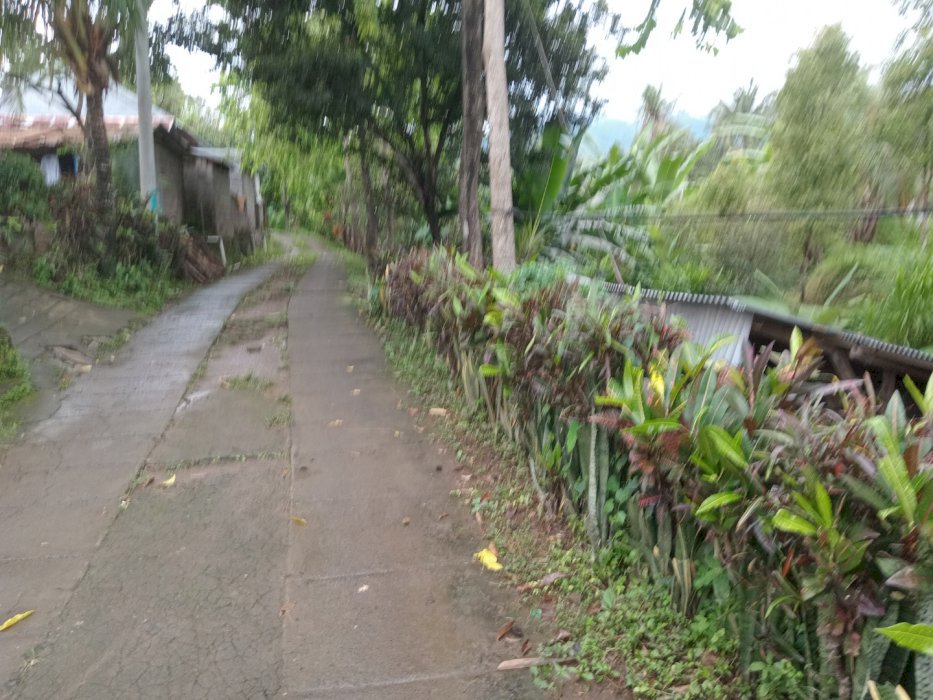 Tanah di jual di tukad pasut desa panji