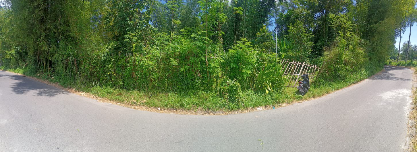 Jual tanah pinggir jalan