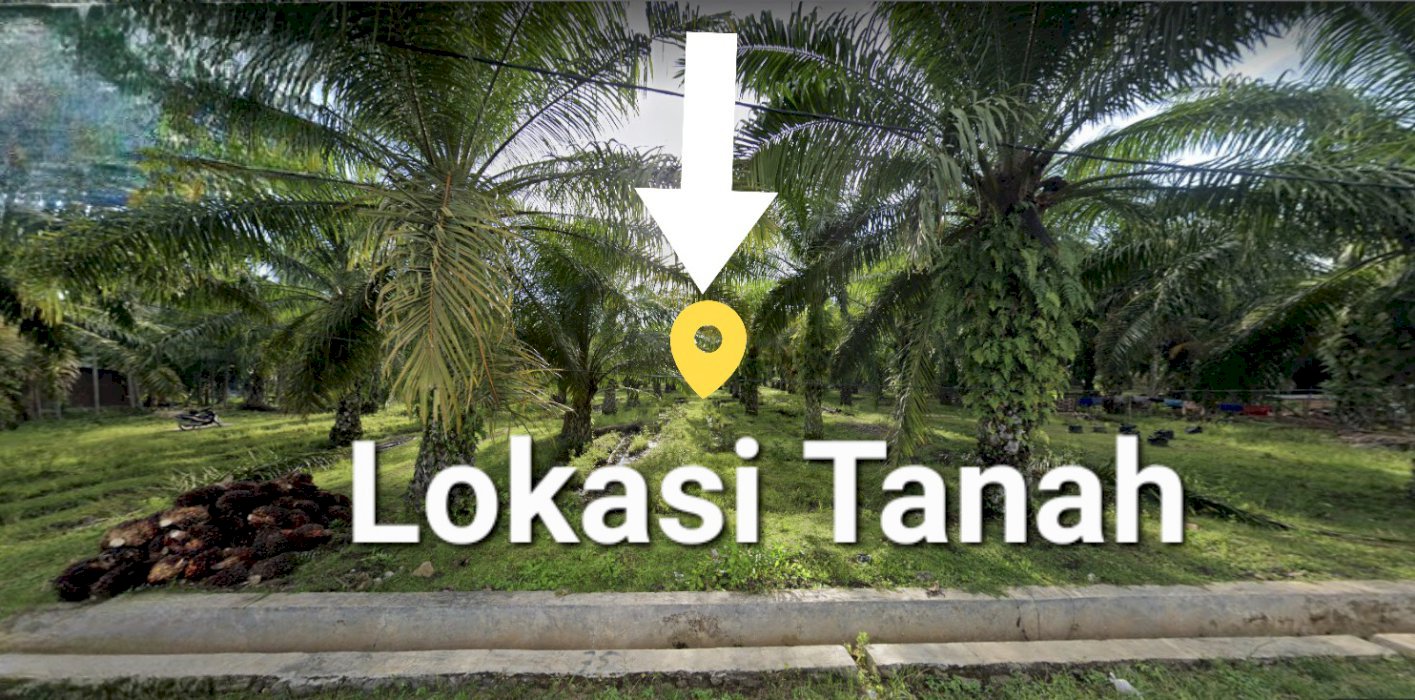 Jual Tanah Sangat Bagus Untuk Perumahan di Kp Bahari Bengkulu