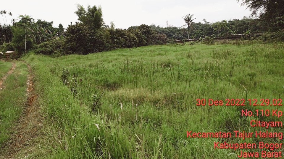 Dijual Tanah Basah cocok untuk Ternak Ikan / Pemancingan