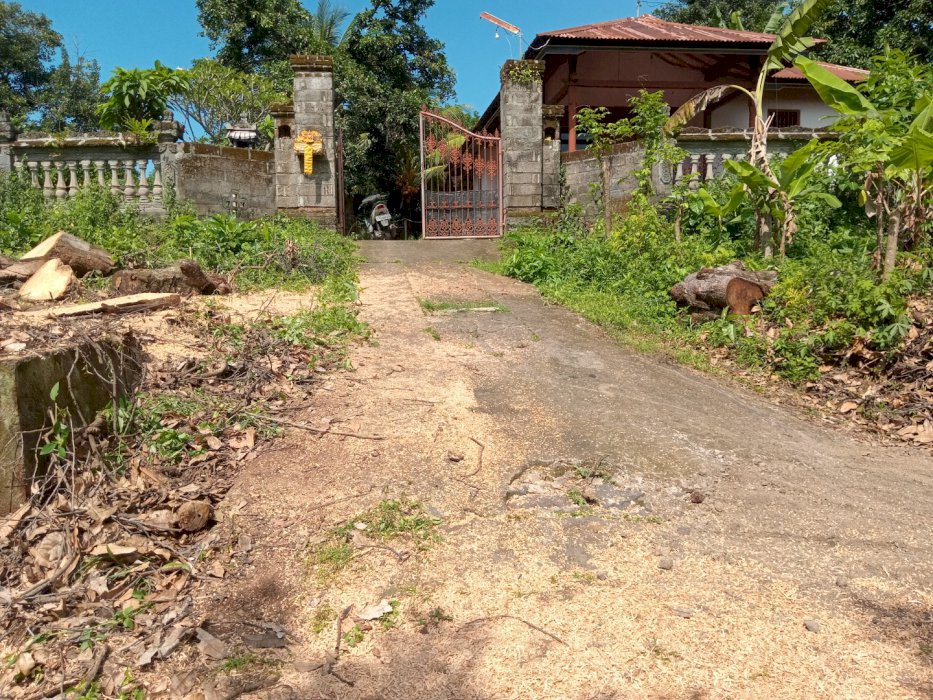 Di jual rumah di desa bangah