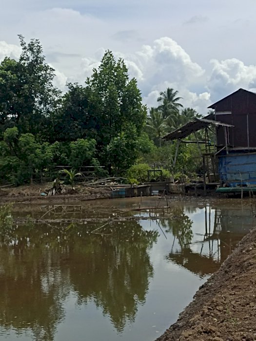 Tanah Lahan Tambak Ikan Dijual, Lokasi di Taman Wisata Pantai Ambalat