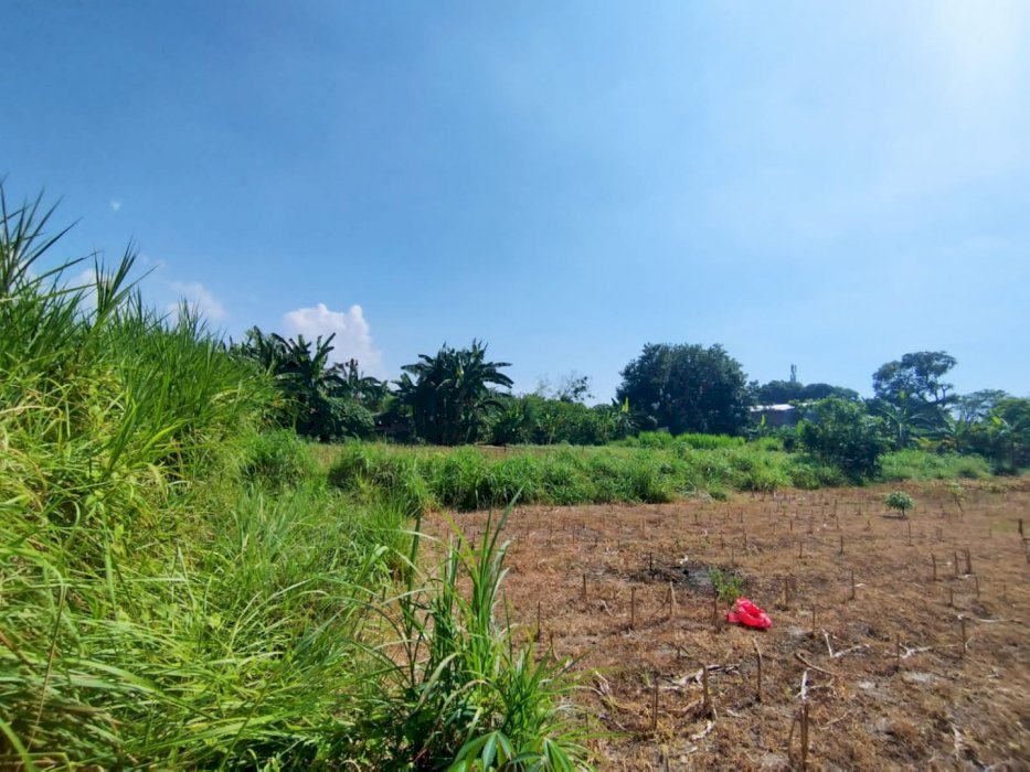 Tanak kavling Sanur dekat dengan pantai sanur