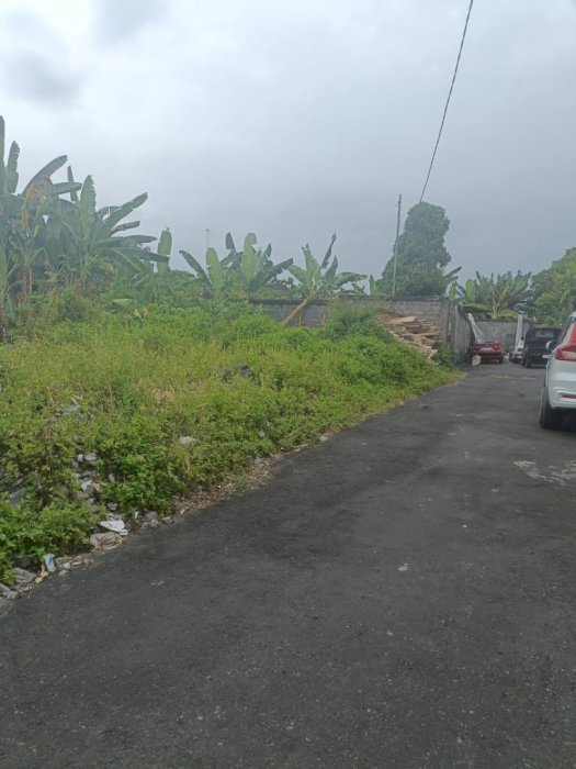 Langka dijual tanah umalas pinggir jalan raya zona kuning