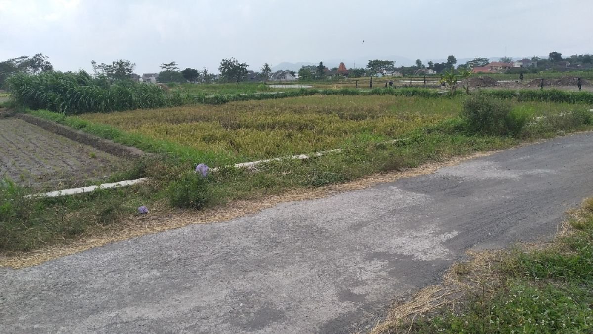 TANAH MURAH DI PURWOMARTANI KALASAN SLEMAN