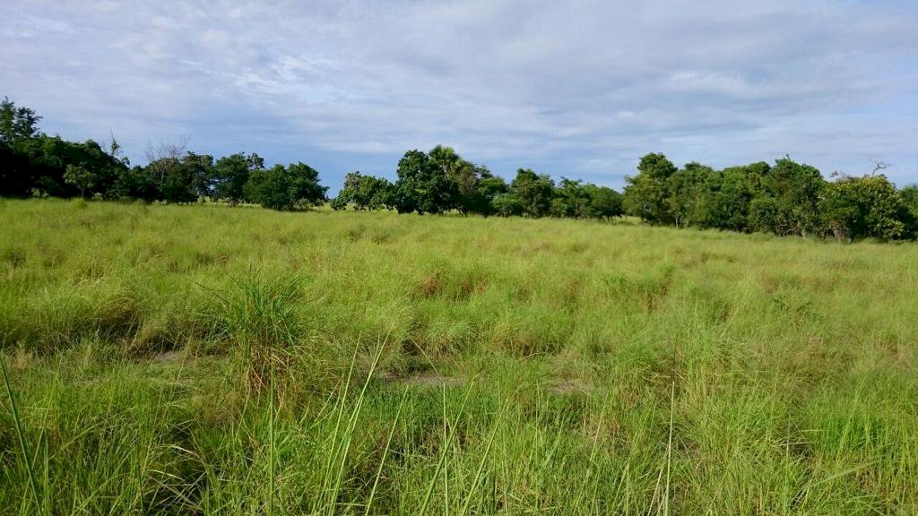 JUAL TANAH STRATEGIS, PANDAWAI SUMBA TIMUR NUSA TENGGARA TIMUR