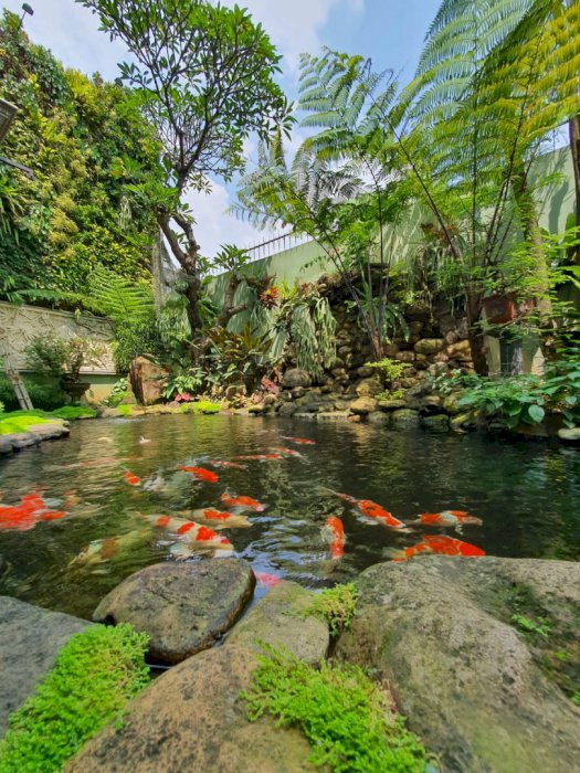 Rumah Mewah Komplek Elit Tanjung Barat Mas, Tanjung Barat, Jakarta