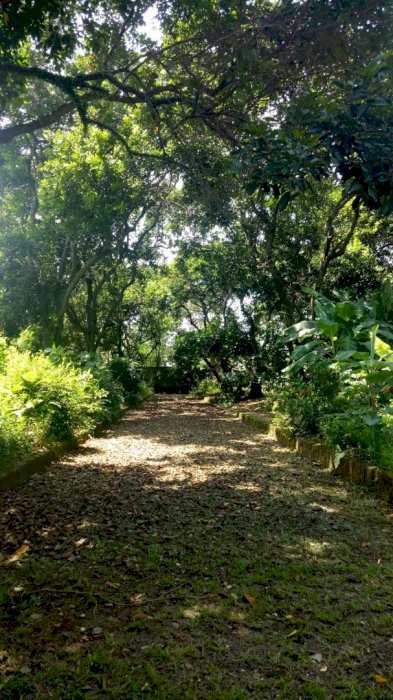 Tanah Potensial Banget Buat Cluster Dkt Ke Jl Raya Lenteng & stasiun