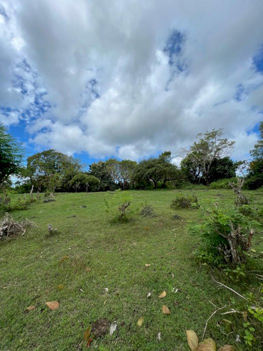 Dijual  tanah kutuh UNTUK INVESTASI VILLA DAN RUMAH