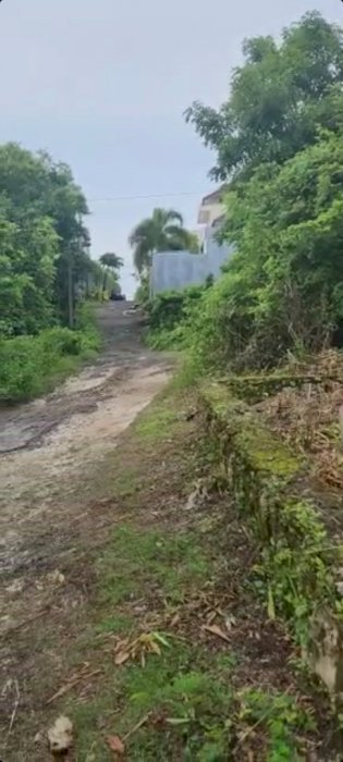 Di Jual Tanah di Pecatu