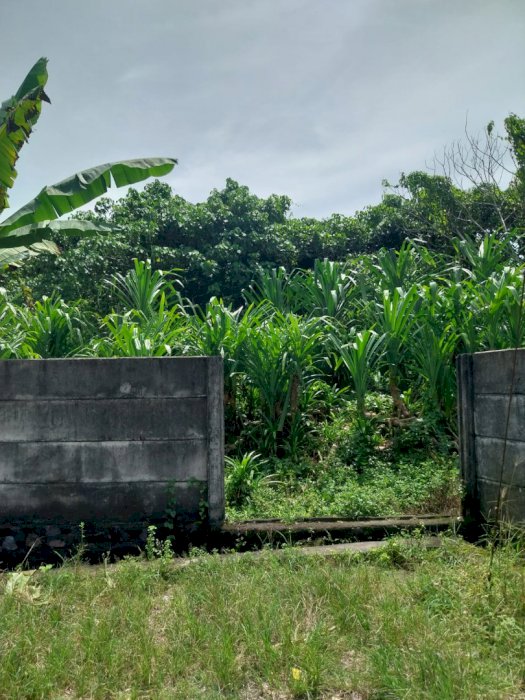 Dijual tanah kavling untuk villa ditiying tutul pererenan