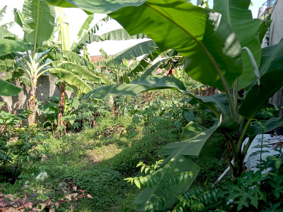 Jual Tanah 175 Meter Jl. Jupiter (Komp. Margahayu Raya) - Soeta !