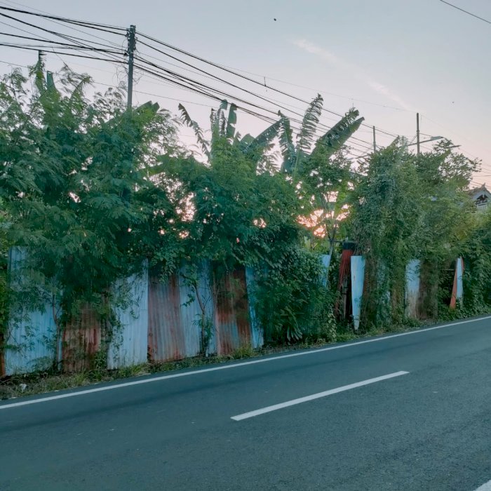 Dijual Tanah KomersiL  Lokasi Jln Tunjung Sari  Dekat Poltabes Denpasa