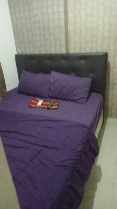 Sewa harian 250 basura city