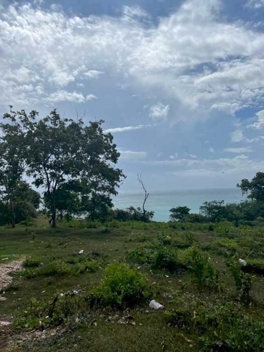 Termurah tanah luasan kecil lokasi Bingin Pecatu ocean view