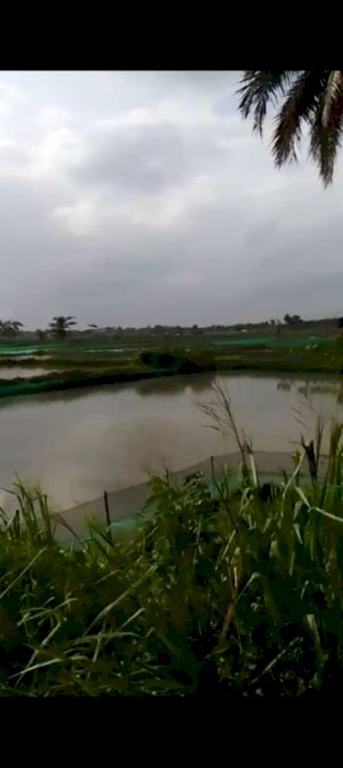 DIJUAL MURAH TANAH EMPANG! DAERAH CISEENG !