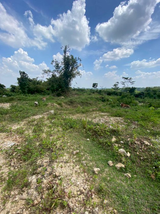 Jual Tanah Di Klapanunggal, Bogor. U/ pabrik/perumahan. Ada Batu Kapur