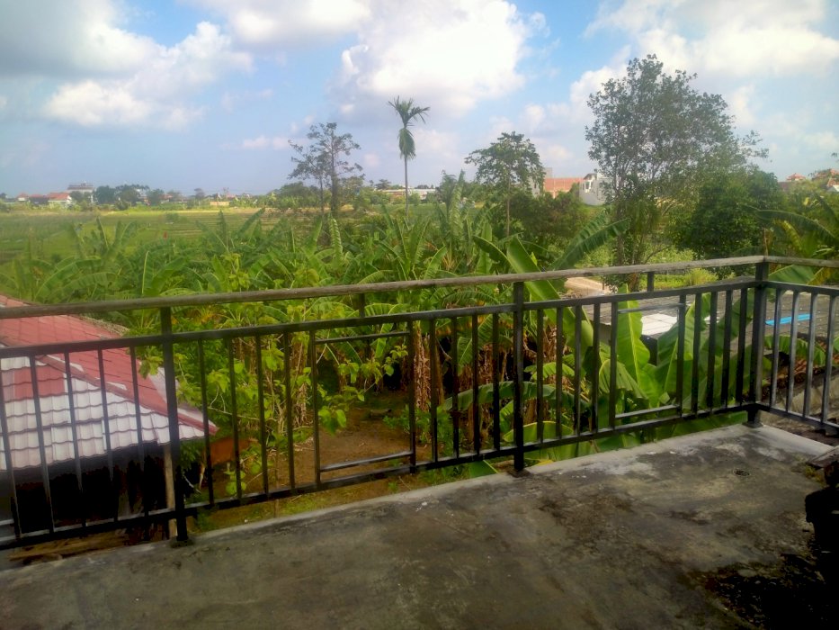 Disewakan villa gunung salak kerobokan view sawah lantai 2