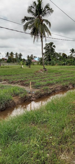Tanah kapling besar akses jalan