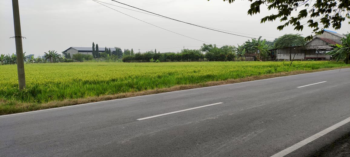 Dijual tanah di balongpanggang