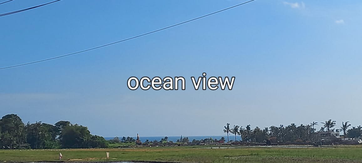 Ocean View Land Lease or Rent 61 are in Kedungu