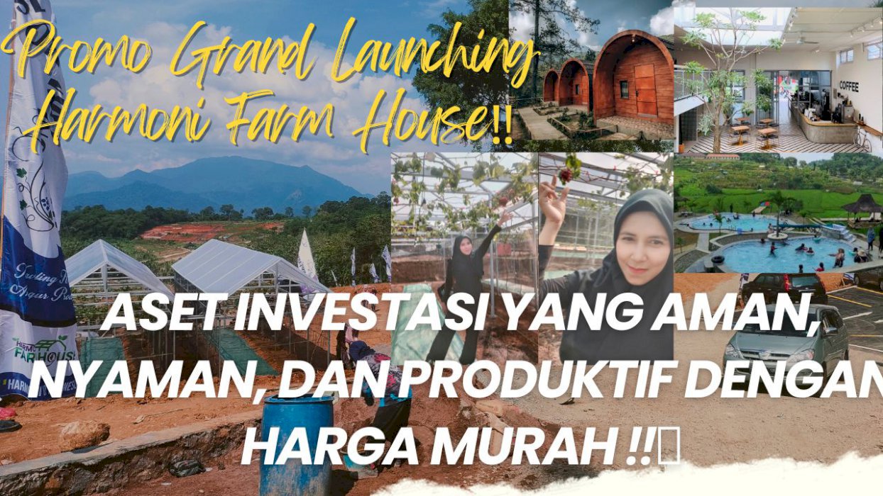 Tanah Kavling Kebun Anggur Produktif