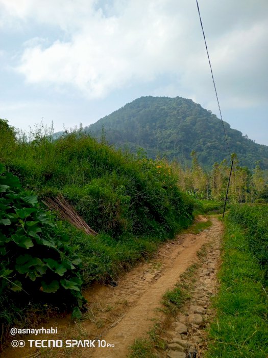 Jual tanah perkebunan produktif bisa masuk mobil