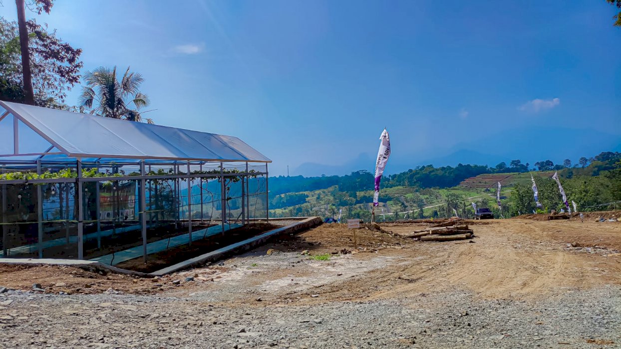 Tanah Produktif Kavling Villa Free Green House Kebun Anggur di Bogor