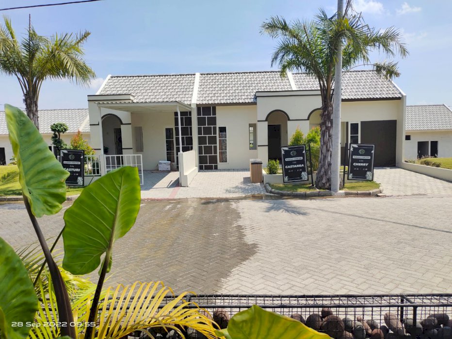 RUMAH MURAH KEDAMEAN TANPA DP