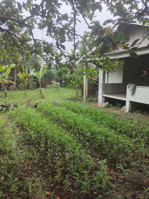 Tanah strategis murah