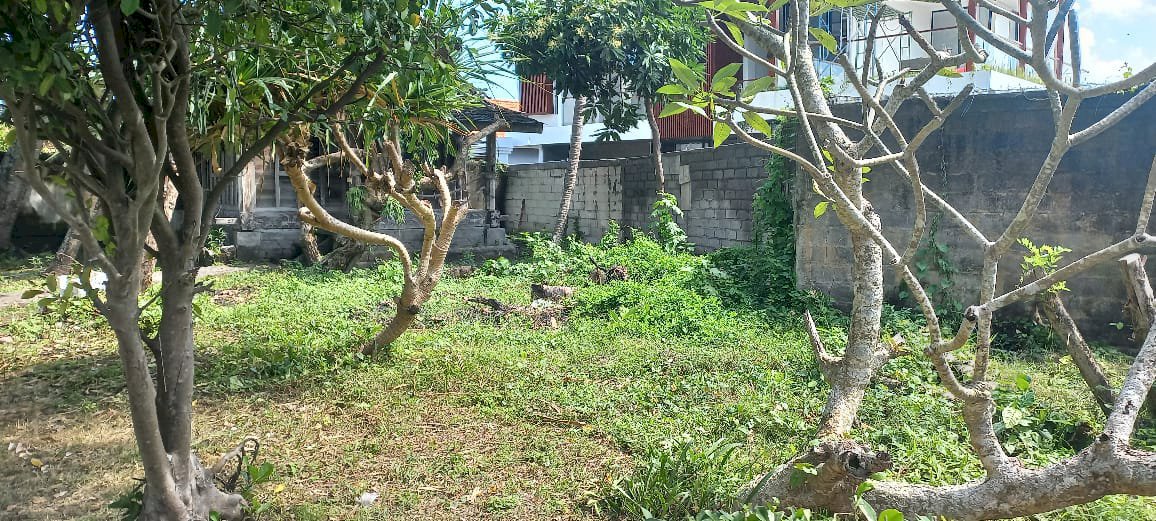 Freehold Land 10 are in Canggu Padang Linjong