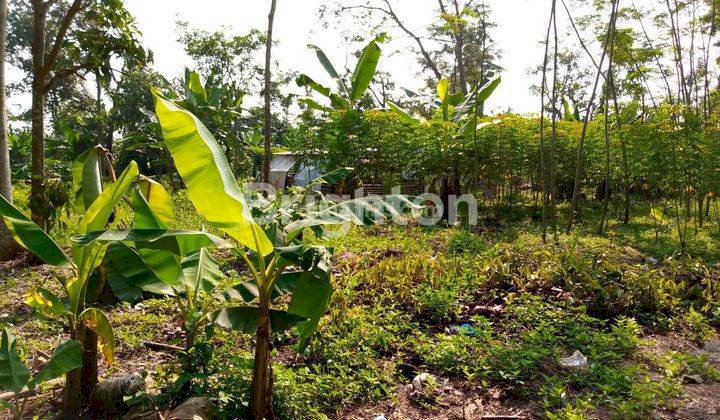TANAH SIAP BANGUN DI BELAKANG SABHARA MIJEN