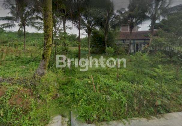 LAHAN BEKAS PEMANCINGAN DI JALAN RAYA UNGARAN-MIJEN