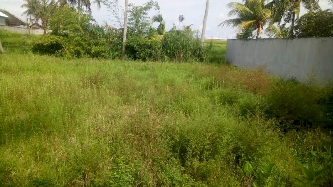 Dry Land for Lease or Rent 11 Are in Kaba-Kaba