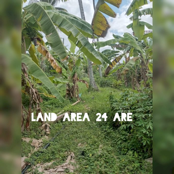 Land Lease 24 ara in Kedungu Within Walking Distance to the Beach