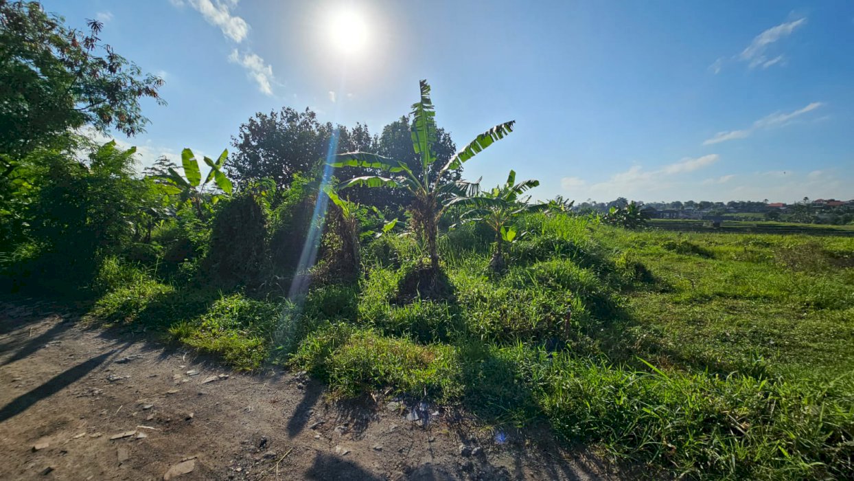 DI JUAL TANAH BERAWA VIEW SAWAH, CANGGU BADUNG BALI