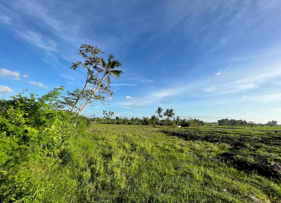 DIJUAL TANAH PEMARON RESIDENCE MUNGGU SESEH, BADUNG BALI