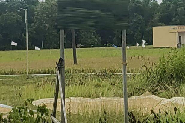 Disewakan Tanah SHM di Nol Jl Nasional Desa Basanah Bangkalan Madura