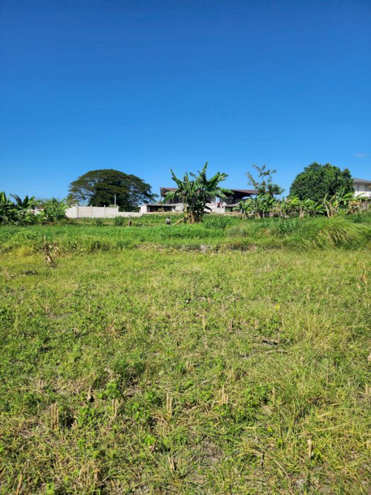 DI JUAL TANAH PANTAI SANUR, DENPASAR BALI