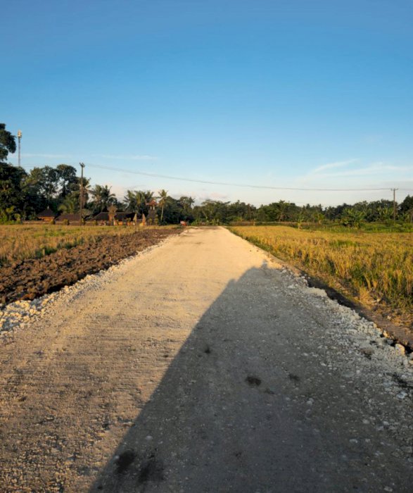 DIJUAL TANAH KAVLING MURAH, BANJAR ANYAR KEDIRI TABANAN BALI