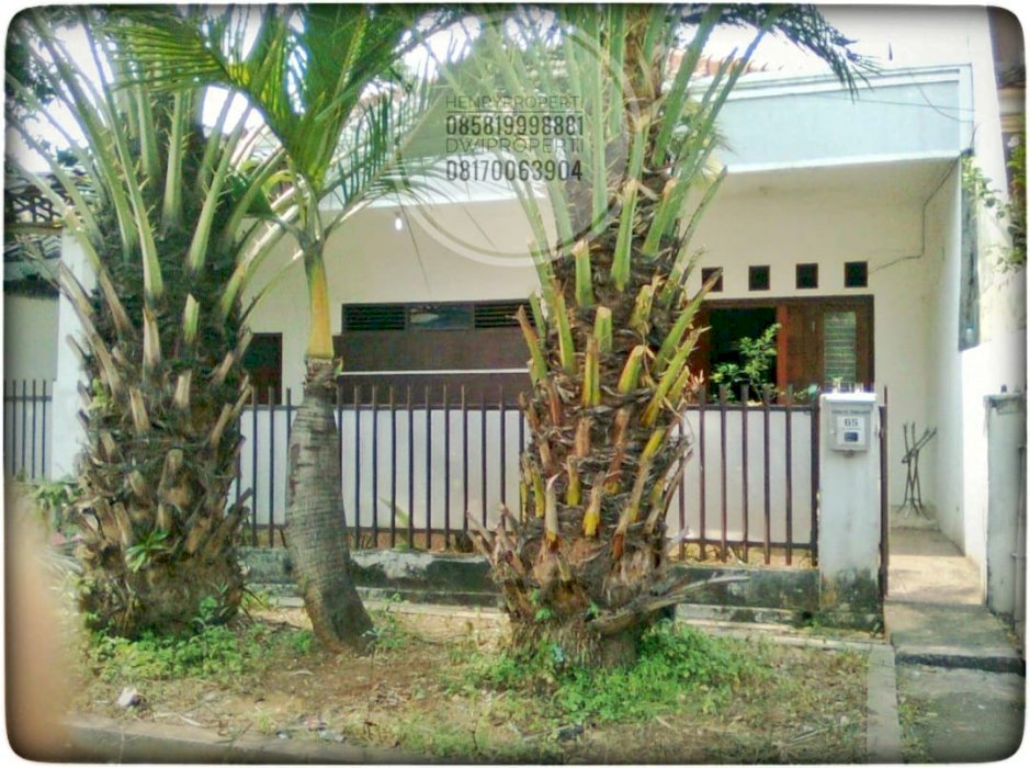 Rumah Cempaka Putih Hitung Tanah Saja Lokasi Strategis Jarang Ada