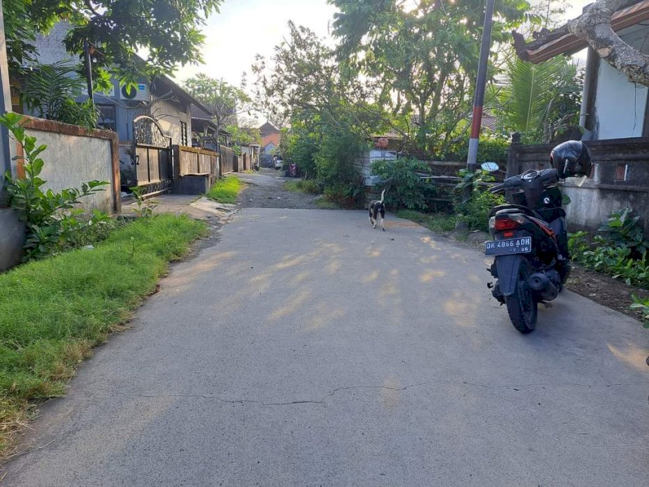 DIJUAL TANAH TUKAD BANYU, POH PANJER DENPASAR SELATAN