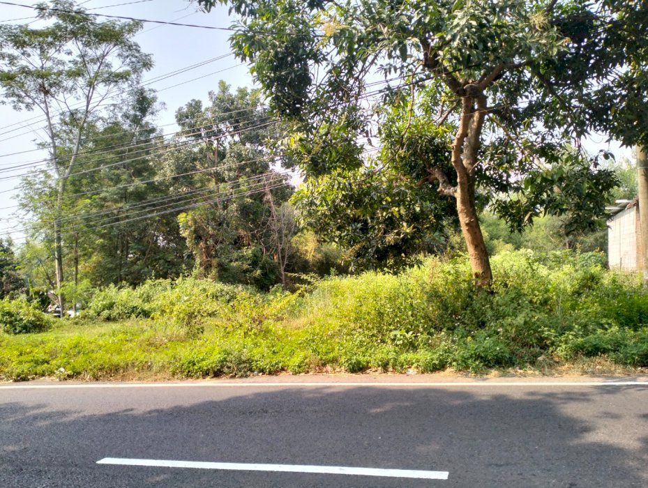 Jual tanah SHM luas 990 m2, Pacet Kabupaten Mojokerto Jawa Timur