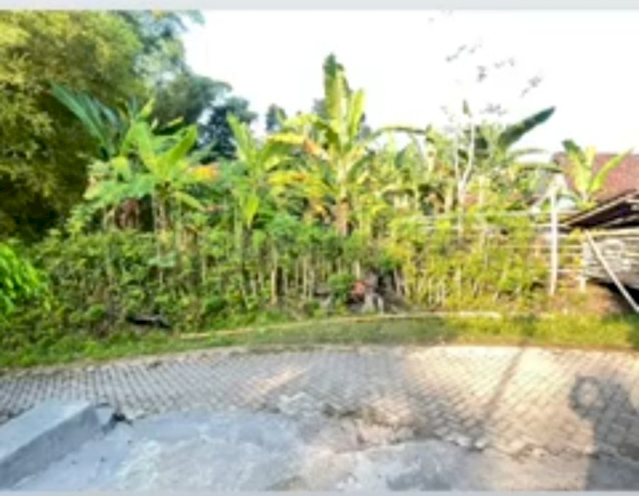 Di jual Tanah di Ngawi