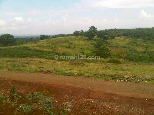 Tanah 100 Ha Murah Meriah Untuk Investasi di Mangunjaya, Waluran,