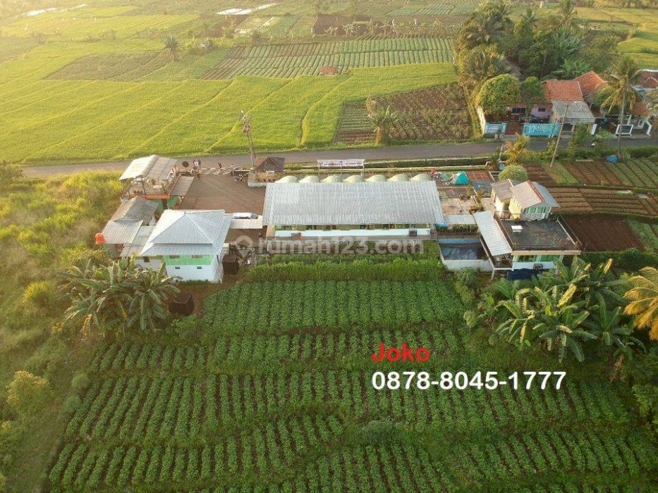 Villa Dan Rest Area Bukit Bintang, Gunung Bundar Tenjolaya, Bogor