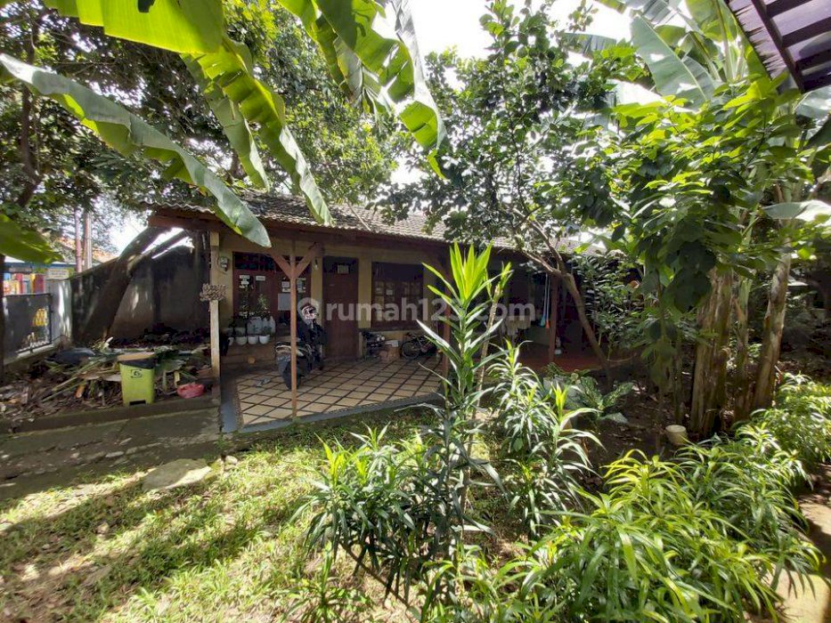 Rumah Kebun Hitung Tanah Lokasi Istimewa di Lenteng Agung, Jakarta