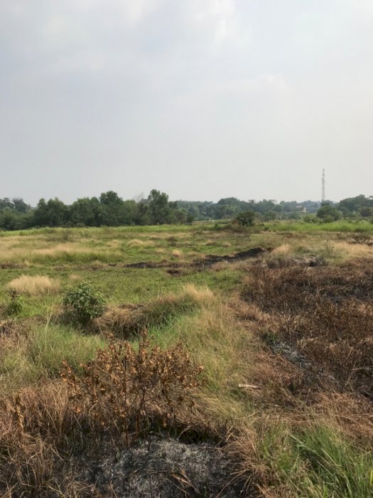 DIJUAL TANAH DI  BANTAR PANJANG ,TANGERANG