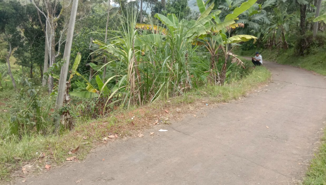 Di jual tanah kebun datar